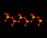 (A chain of silicate species.)