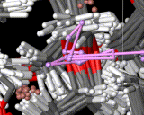 (A molecular dynamics trajectory showing the tracks of lithium ions in a conducting polymer.)