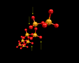 (Non-bridging oxygen species.)