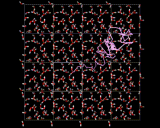 (The diffusion of an individual water molecule in liquid water.)