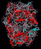 (Prostaglandin H2 synthase 1)