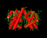 (The haemoglobin structure, the protein that is responsible for transporting oxygen. )