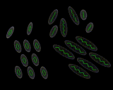 (An illustration of ordering of units in a molecular crystal.)