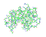 (The structure of lysozyme.)