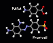 (PABA and prontosil.)