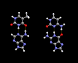 (Base pairs.)