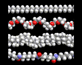 (Typical polymer molecules.)